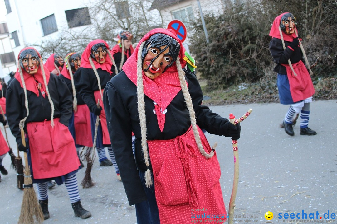 Fasnetsumzug und Party mit Fly: Kau am Bodensee, 15.02.2025