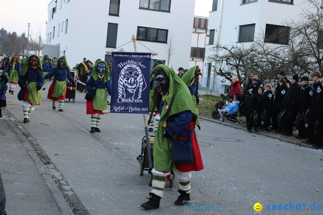 Fasnetsumzug und Party mit Fly: Kau am Bodensee, 15.02.2025