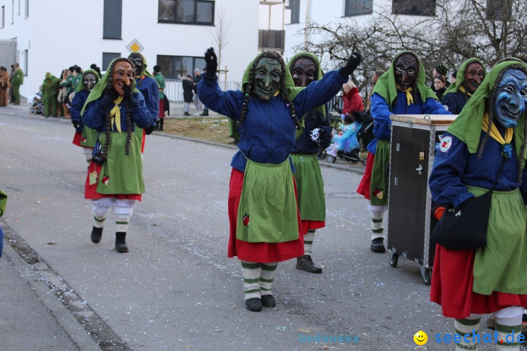Fasnetsumzug und Party mit Fly: Kau am Bodensee, 15.02.2025