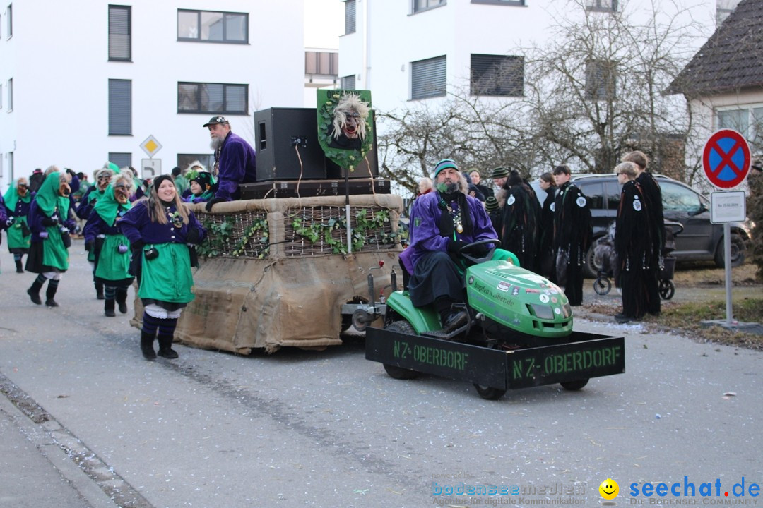 Fasnetsumzug und Party mit Fly: Kau am Bodensee, 15.02.2025