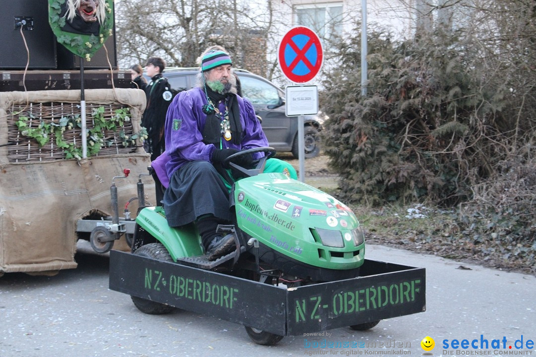 Fasnetsumzug und Party mit Fly: Kau am Bodensee, 15.02.2025