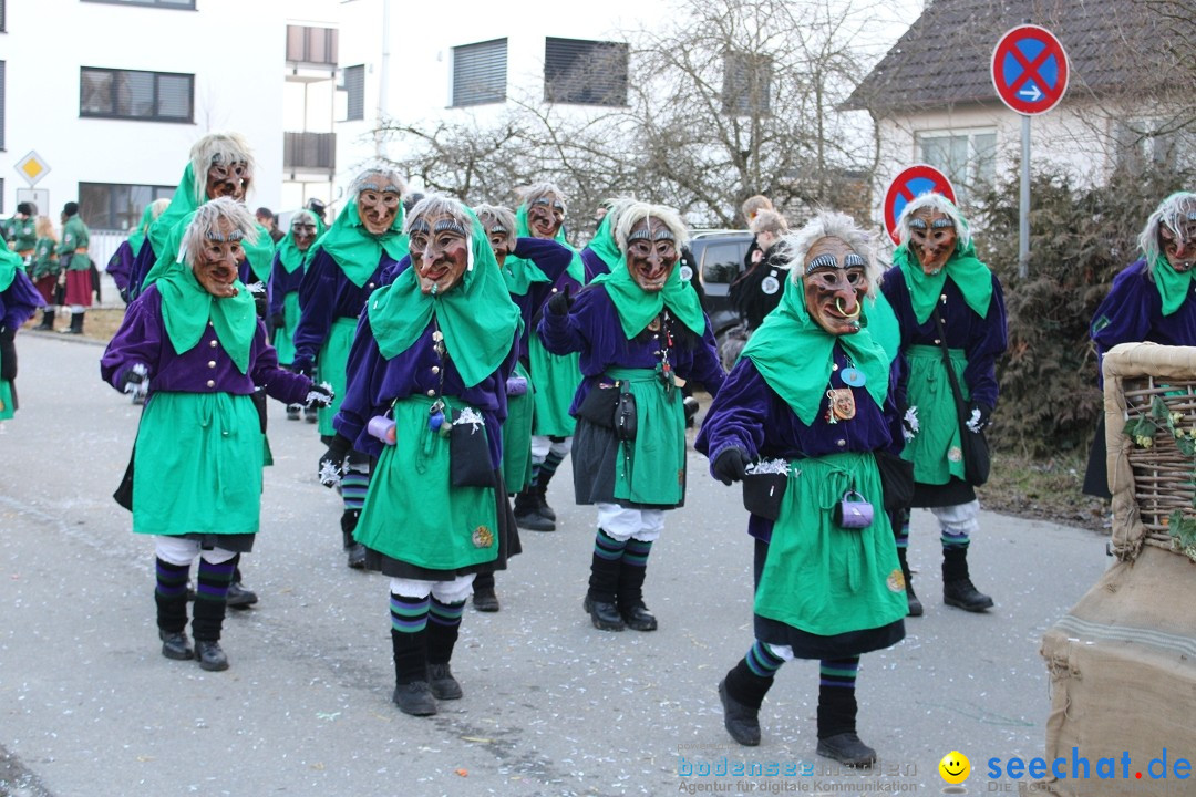 Fasnetsumzug und Party mit Fly: Kau am Bodensee, 15.02.2025