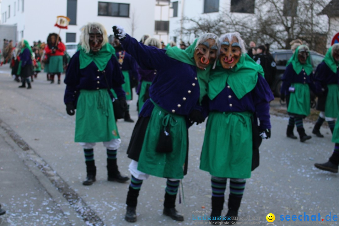 Fasnetsumzug und Party mit Fly: Kau am Bodensee, 15.02.2025