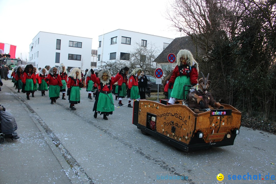 Fasnetsumzug und Party mit Fly: Kau am Bodensee, 15.02.2025