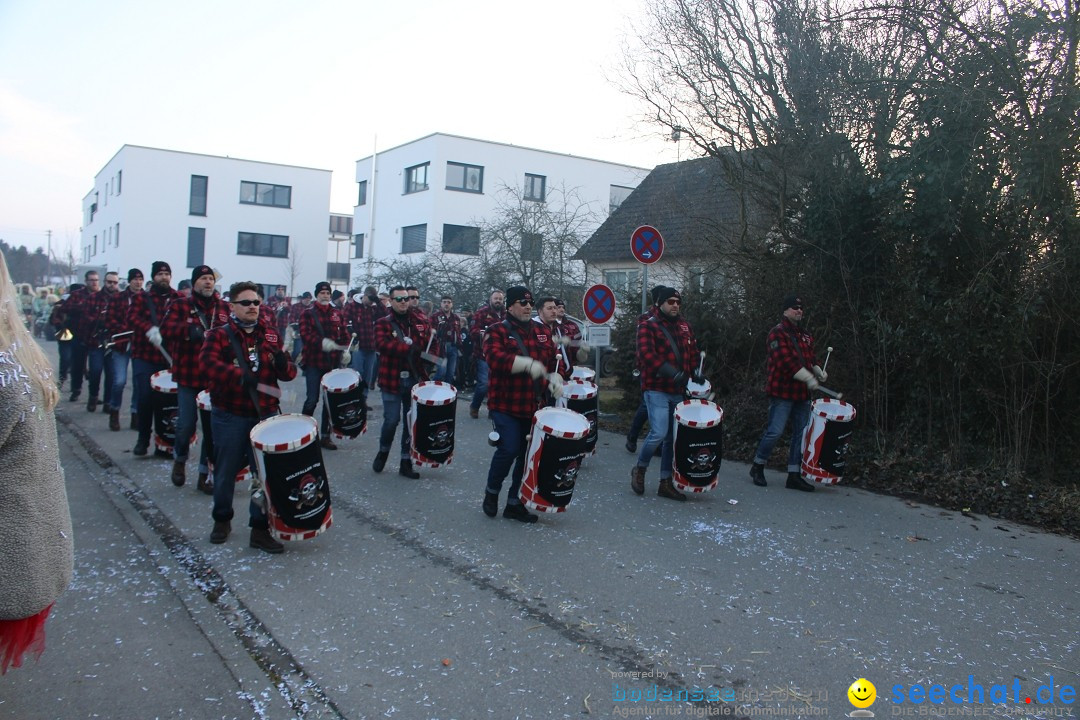 Fasnetsumzug und Party mit Fly: Kau am Bodensee, 15.02.2025