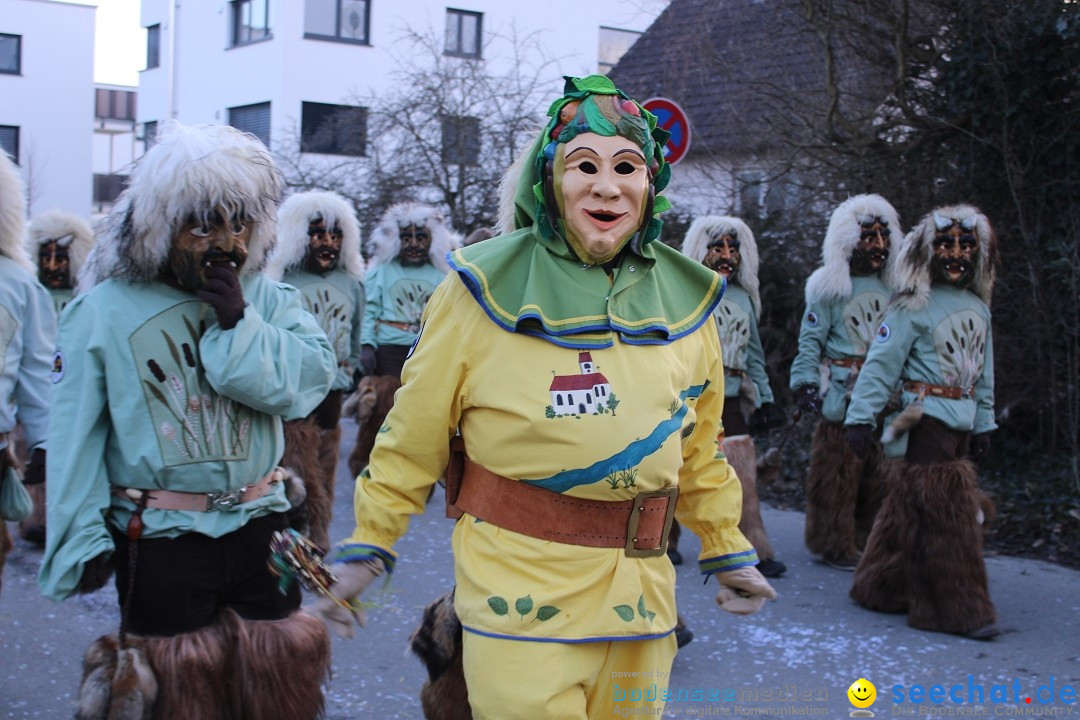 Fasnetsumzug und Party mit Fly: Kau am Bodensee, 15.02.2025