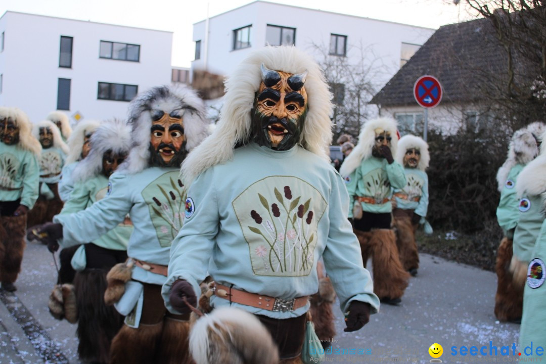 Fasnetsumzug und Party mit Fly: Kau am Bodensee, 15.02.2025