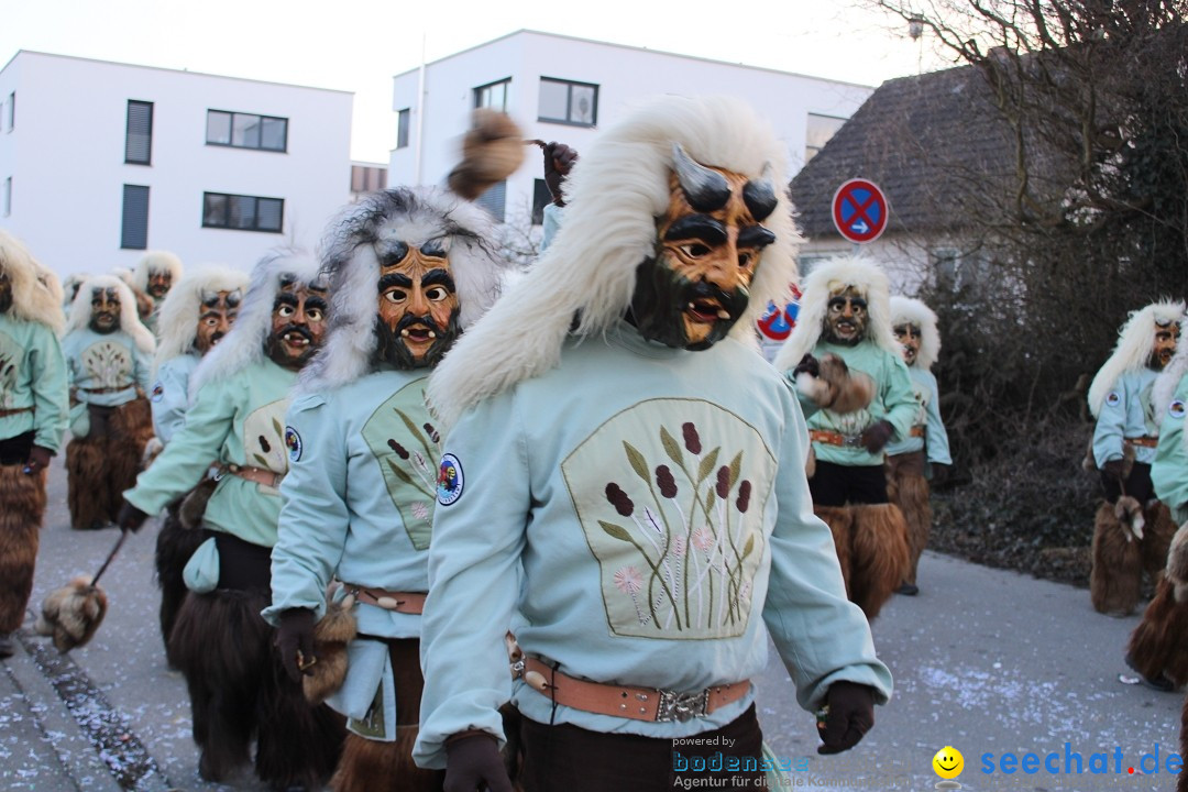 Fasnetsumzug und Party mit Fly: Kau am Bodensee, 15.02.2025