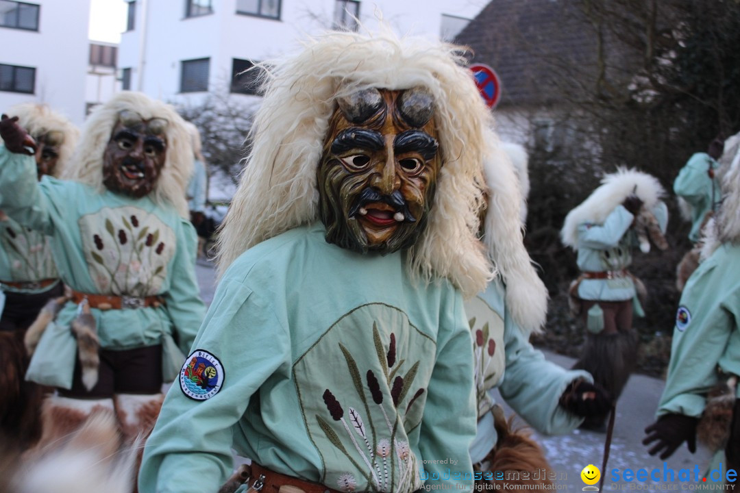 Fasnetsumzug und Party mit Fly: Kau am Bodensee, 15.02.2025