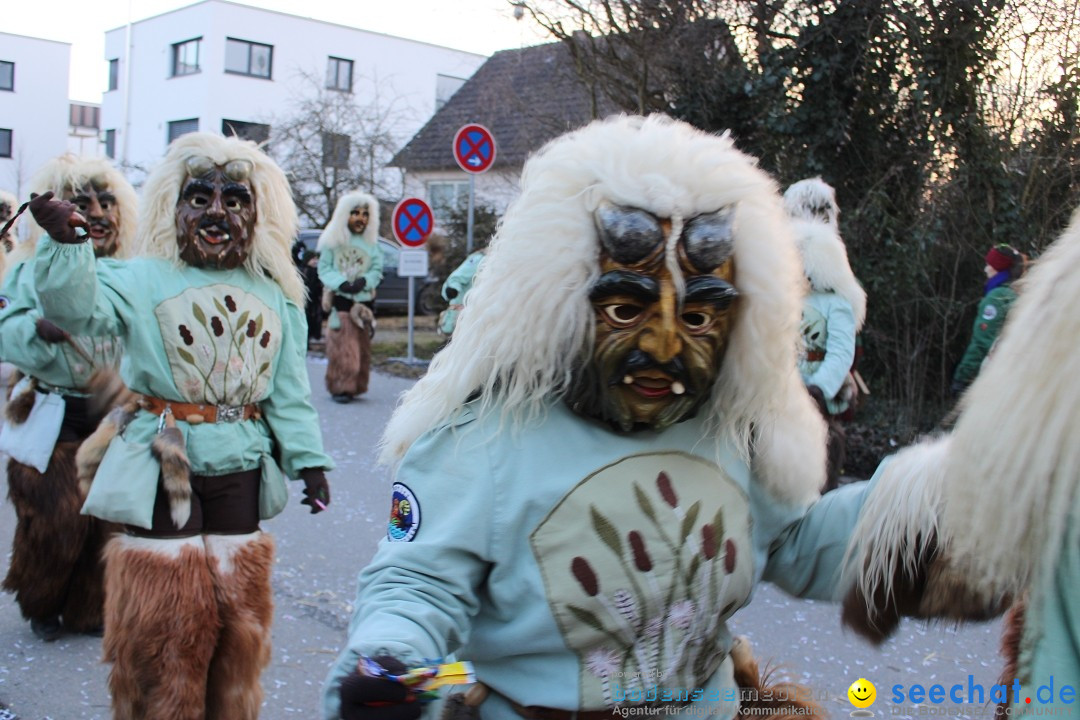 Fasnetsumzug und Party mit Fly: Kau am Bodensee, 15.02.2025