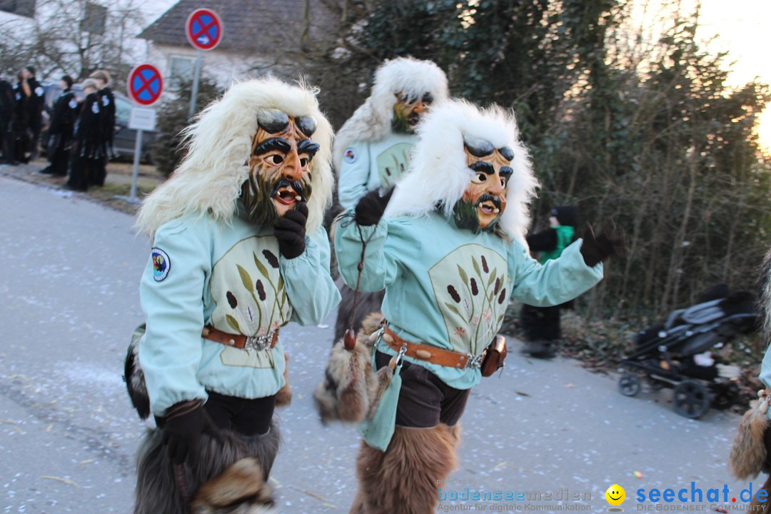 Fasnetsumzug und Party mit Fly: Kau am Bodensee, 15.02.2025