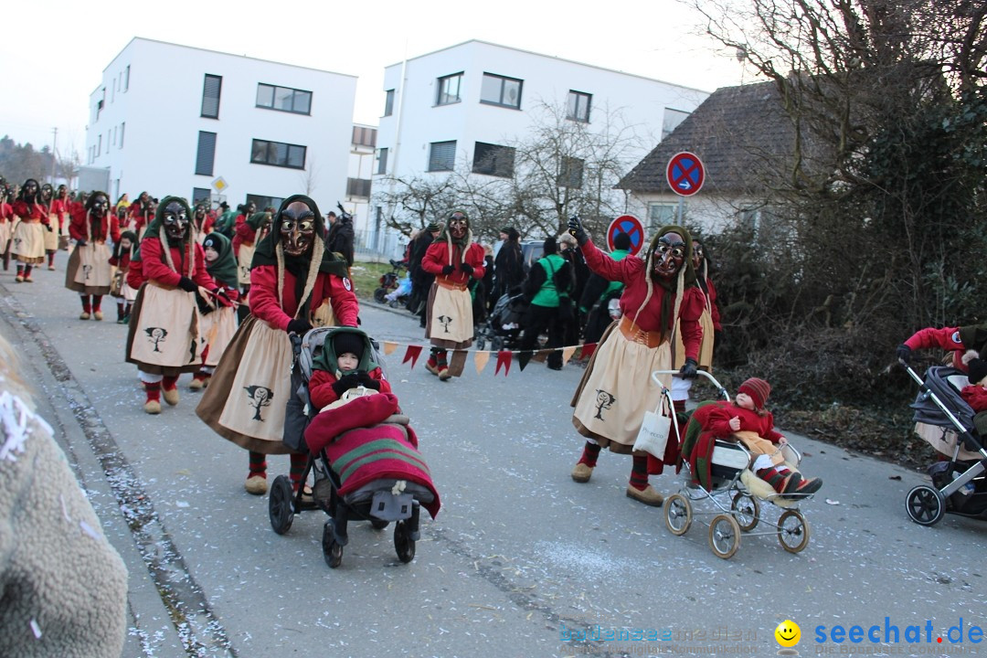 Fasnetsumzug und Party mit Fly: Kau am Bodensee, 15.02.2025