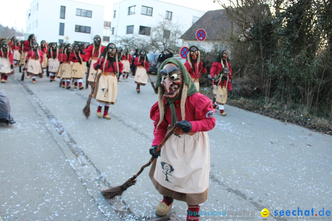Fasnetsumzug und Party mit Fly: Kau am Bodensee, 15.02.2025