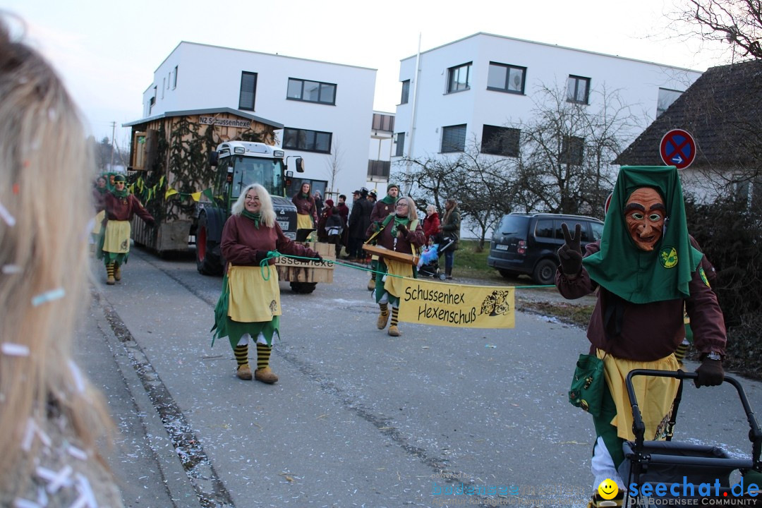 Fasnetsumzug und Party mit Fly: Kau am Bodensee, 15.02.2025