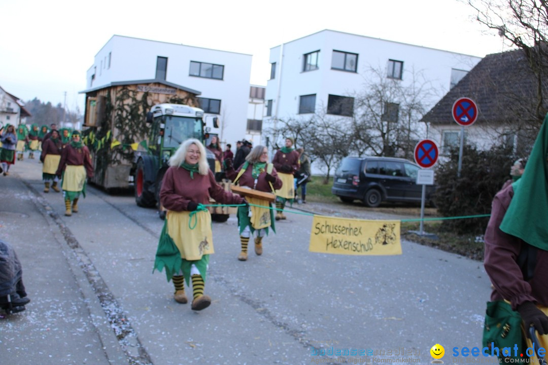 Fasnetsumzug und Party mit Fly: Kau am Bodensee, 15.02.2025