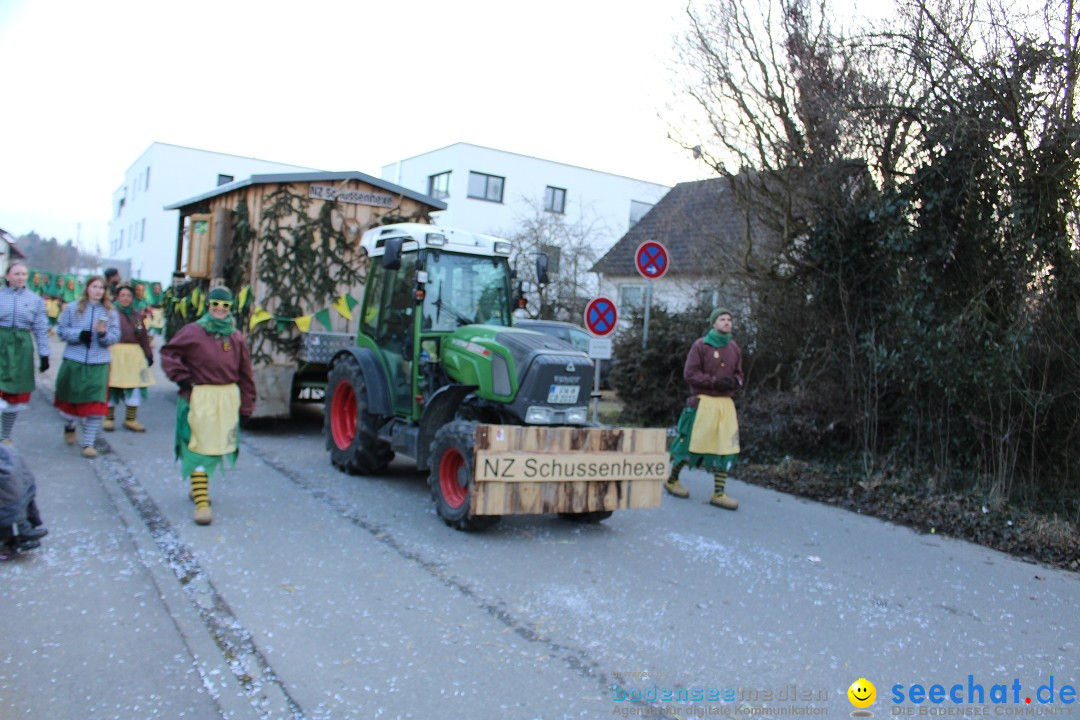 Fasnetsumzug und Party mit Fly: Kau am Bodensee, 15.02.2025
