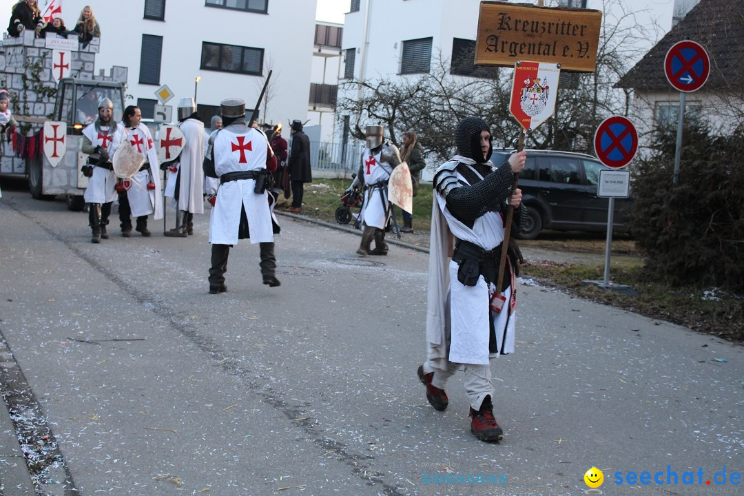 Fasnetsumzug und Party mit Fly: Kau am Bodensee, 15.02.2025