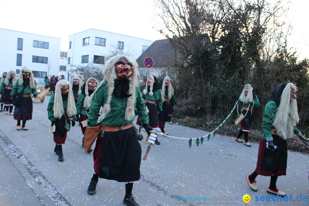 Fasnetsumzug und Party mit Fly: Kau am Bodensee, 15.02.2025