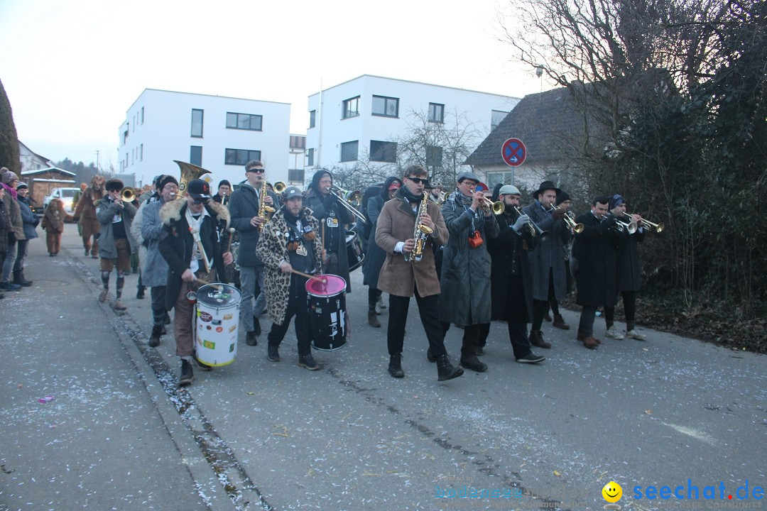 Fasnetsumzug und Party mit Fly: Kau am Bodensee, 15.02.2025