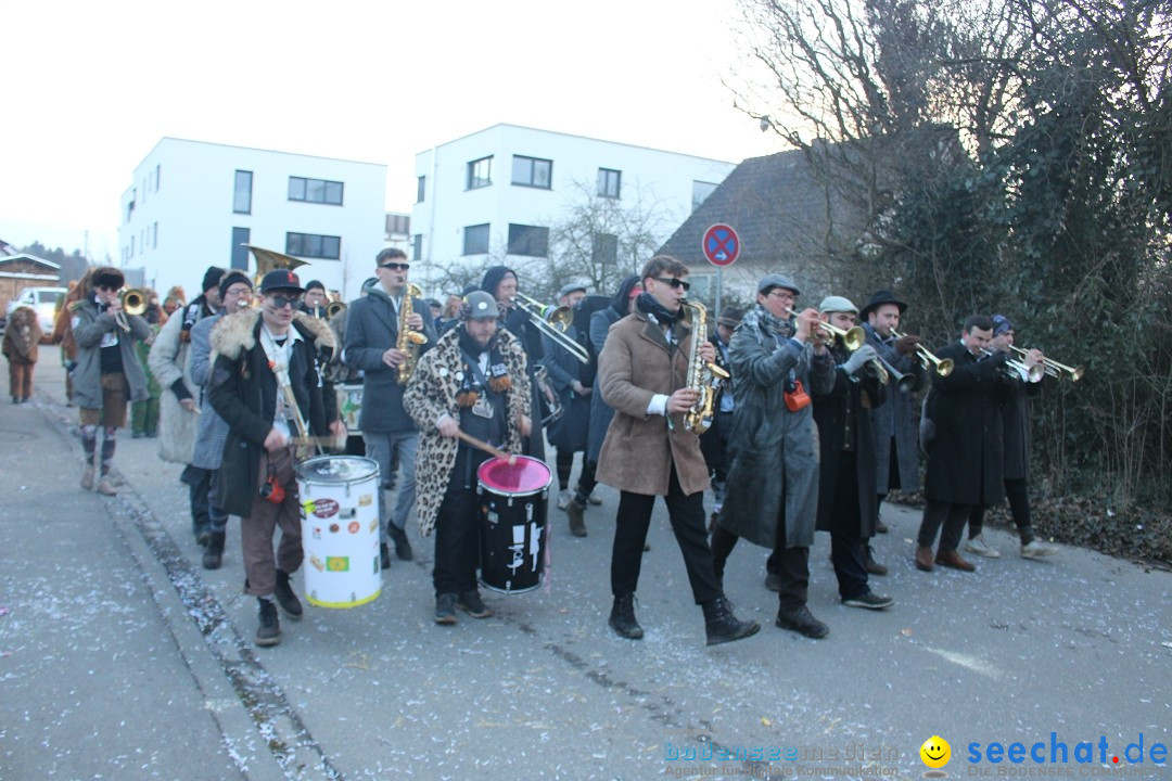 Fasnetsumzug und Party mit Fly: Kau am Bodensee, 15.02.2025