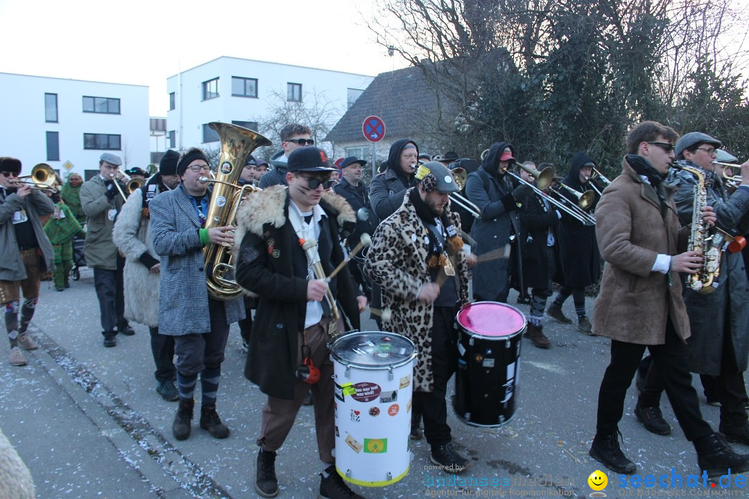 Fasnetsumzug und Party mit Fly: Kau am Bodensee, 15.02.2025