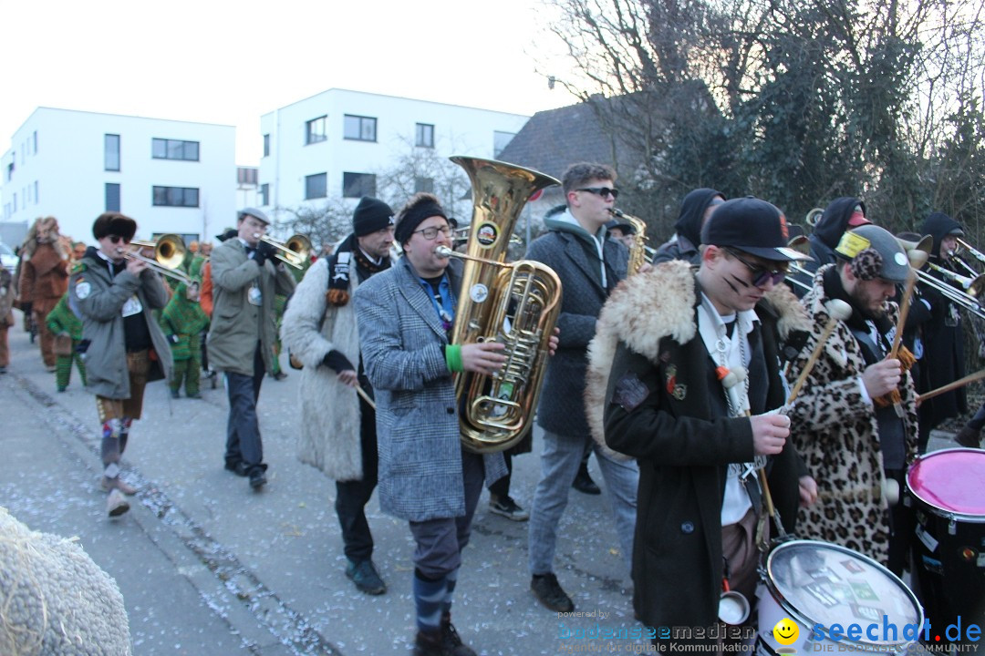Fasnetsumzug und Party mit Fly: Kau am Bodensee, 15.02.2025
