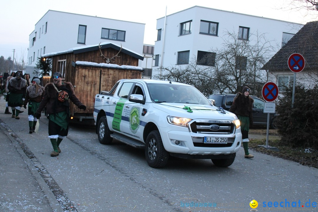 Fasnetsumzug und Party mit Fly: Kau am Bodensee, 15.02.2025