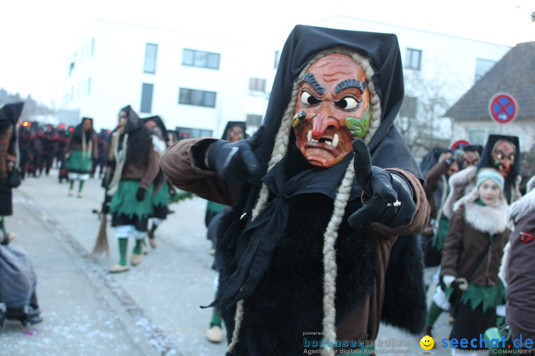 Fasnetsumzug und Party mit Fly: Kau am Bodensee, 15.02.2025