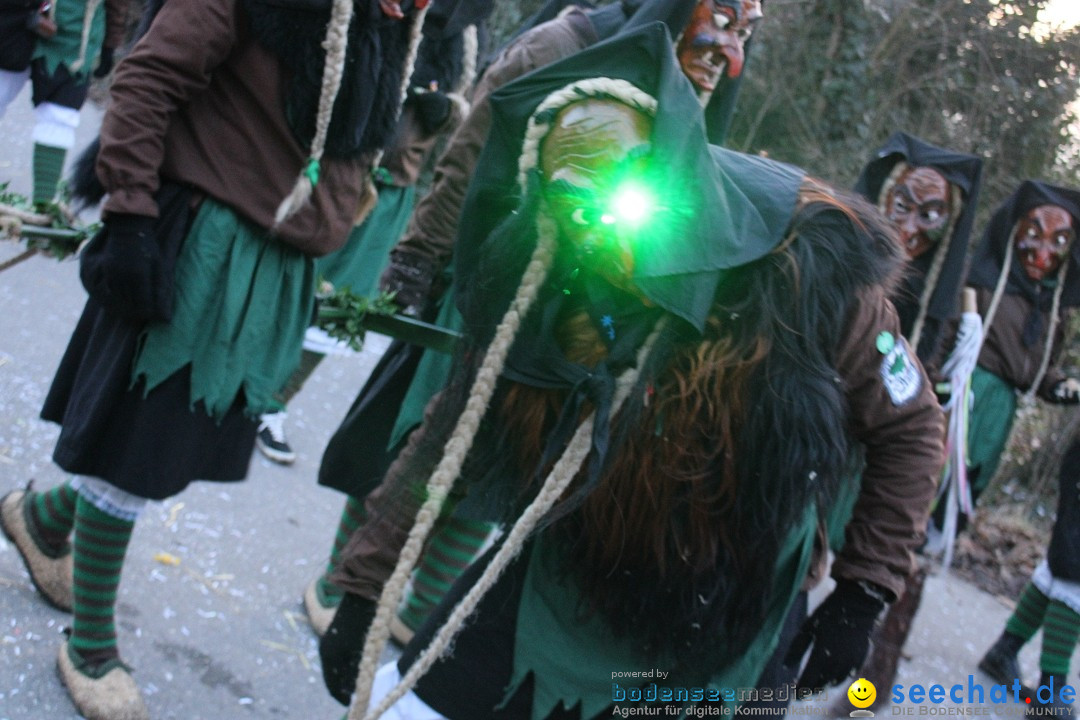Fasnetsumzug und Party mit Fly: Kau am Bodensee, 15.02.2025