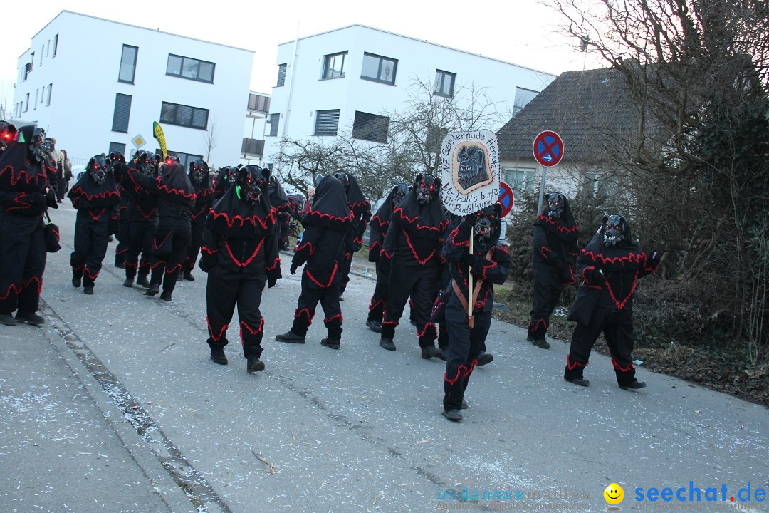 Fasnetsumzug und Party mit Fly: Kau am Bodensee, 15.02.2025