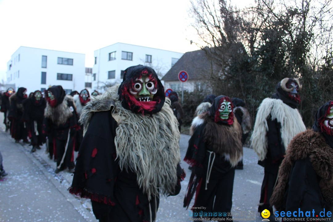 Fasnetsumzug und Party mit Fly: Kau am Bodensee, 15.02.2025