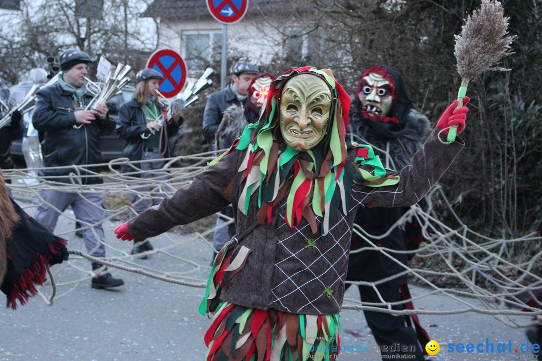 Fasnetsumzug und Party mit Fly: Kau am Bodensee, 15.02.2025