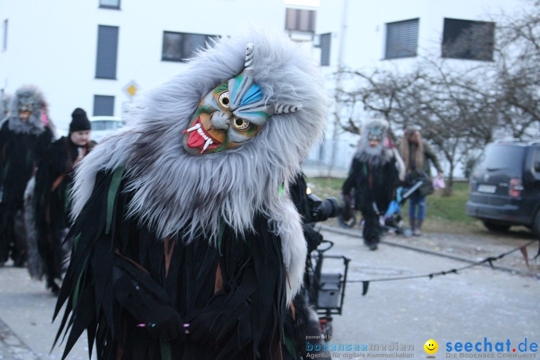 Fasnetsumzug und Party mit Fly: Kau am Bodensee, 15.02.2025
