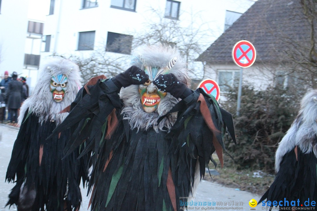Fasnetsumzug und Party mit Fly: Kau am Bodensee, 15.02.2025