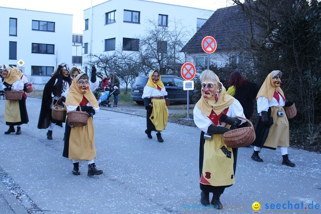 Fasnetsumzug und Party mit Fly: Kau am Bodensee, 15.02.2025