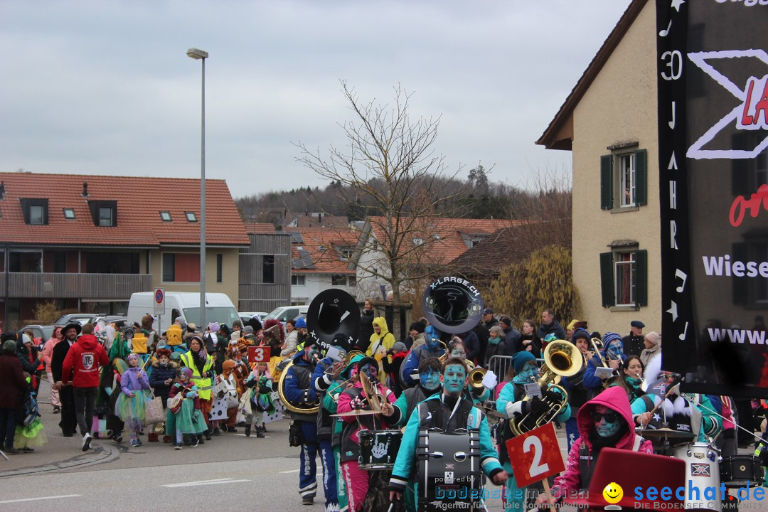 Fasnachtsumzug - Wiesendangen - Schweiz, 15.03.2025