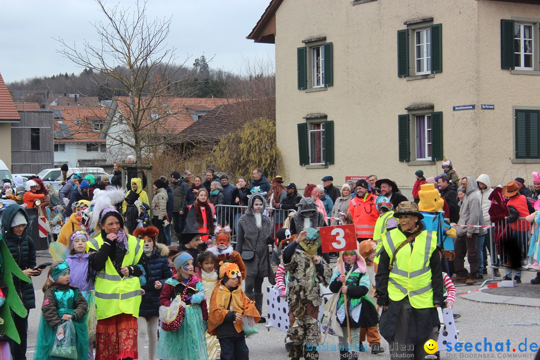 Fasnachtsumzug - Wiesendangen - Schweiz, 15.03.2025