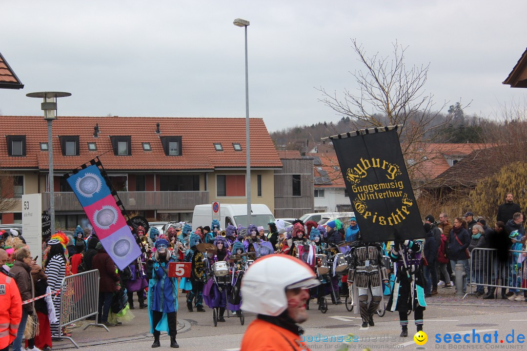 Fasnachtsumzug - Wiesendangen - Schweiz, 15.03.2025