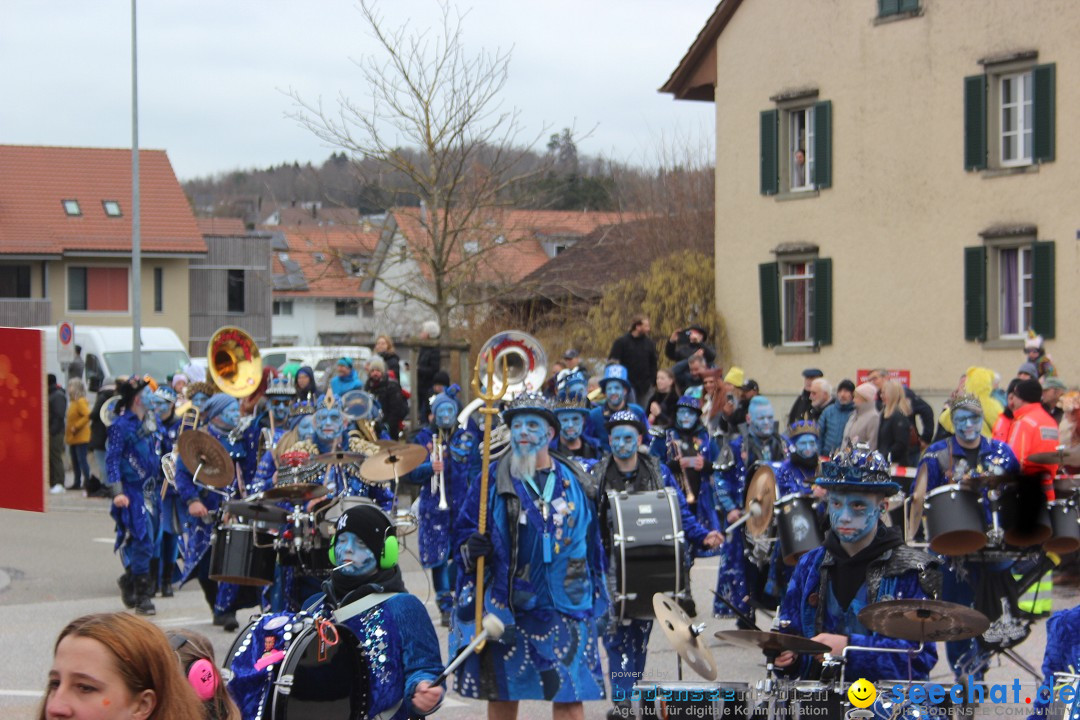 Fasnachtsumzug - Wiesendangen - Schweiz, 15.03.2025