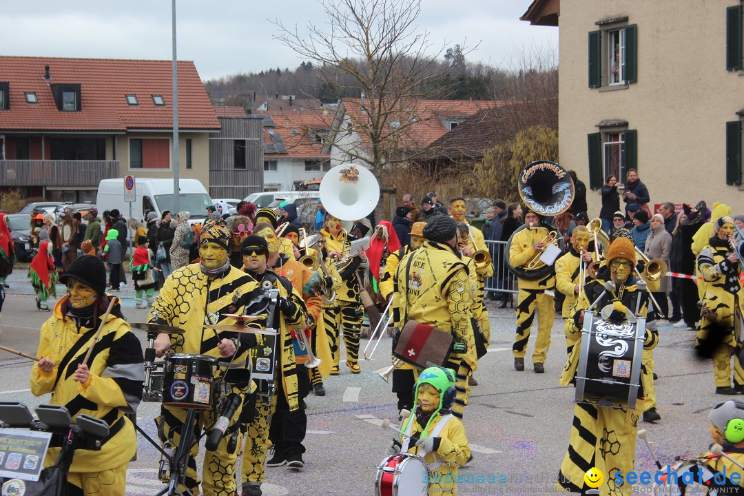 Fasnachtsumzug - Wiesendangen - Schweiz, 15.03.2025