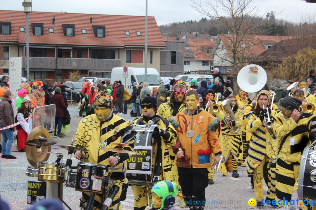 Fasnachtsumzug - Wiesendangen - Schweiz, 15.03.2025