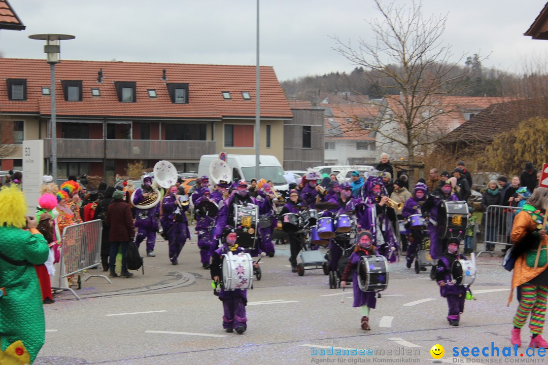 Fasnachtsumzug - Wiesendangen - Schweiz, 15.03.2025