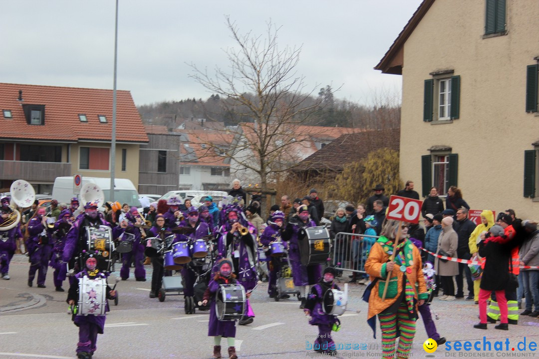 Fasnachtsumzug - Wiesendangen - Schweiz, 15.03.2025