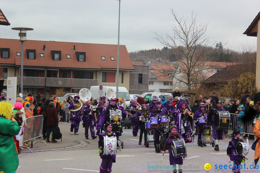 Fasnachtsumzug - Wiesendangen - Schweiz, 15.03.2025