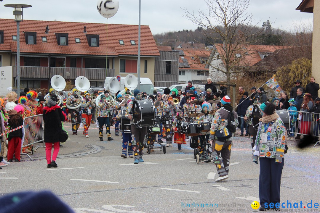 Fasnachtsumzug - Wiesendangen - Schweiz, 15.03.2025