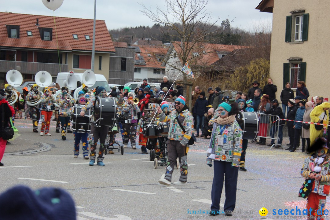 Fasnachtsumzug - Wiesendangen - Schweiz, 15.03.2025