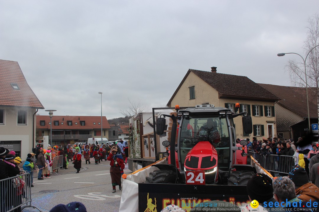 Fasnachtsumzug - Wiesendangen - Schweiz, 15.03.2025