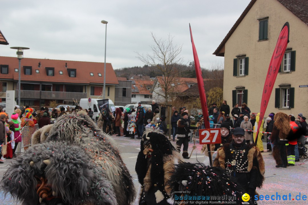 Fasnachtsumzug - Wiesendangen - Schweiz, 15.03.2025