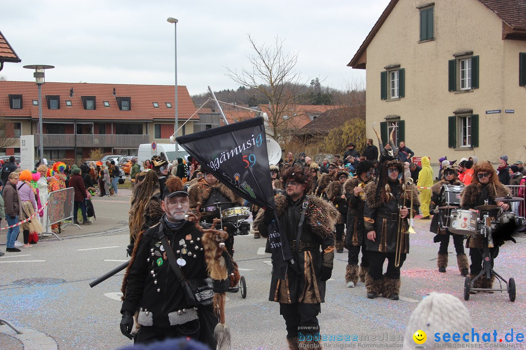 Fasnachtsumzug - Wiesendangen - Schweiz, 15.03.2025