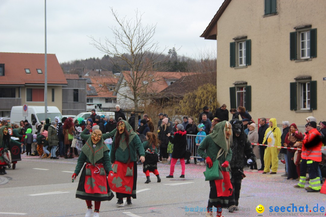 Fasnachtsumzug - Wiesendangen - Schweiz, 15.03.2025